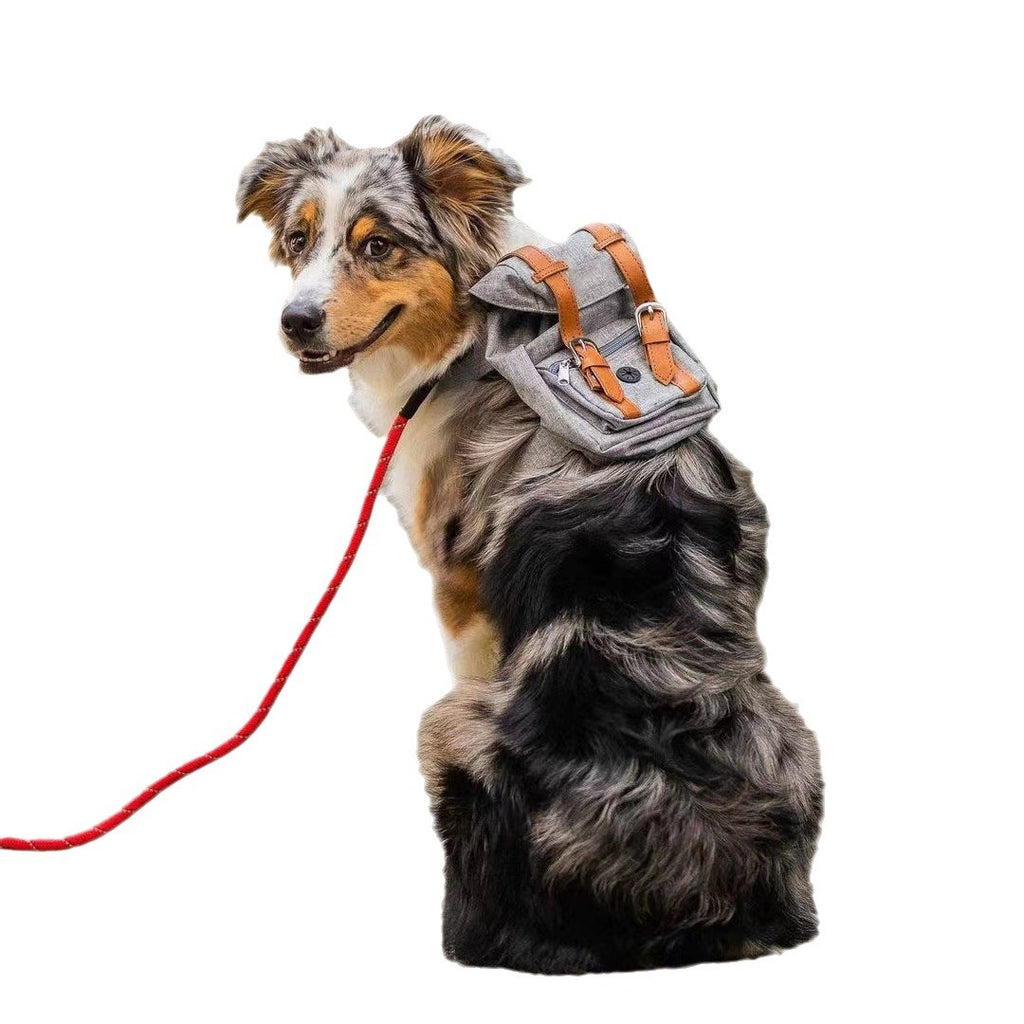 Dog backpack Pet small schoolbag with straps Portable - image 5