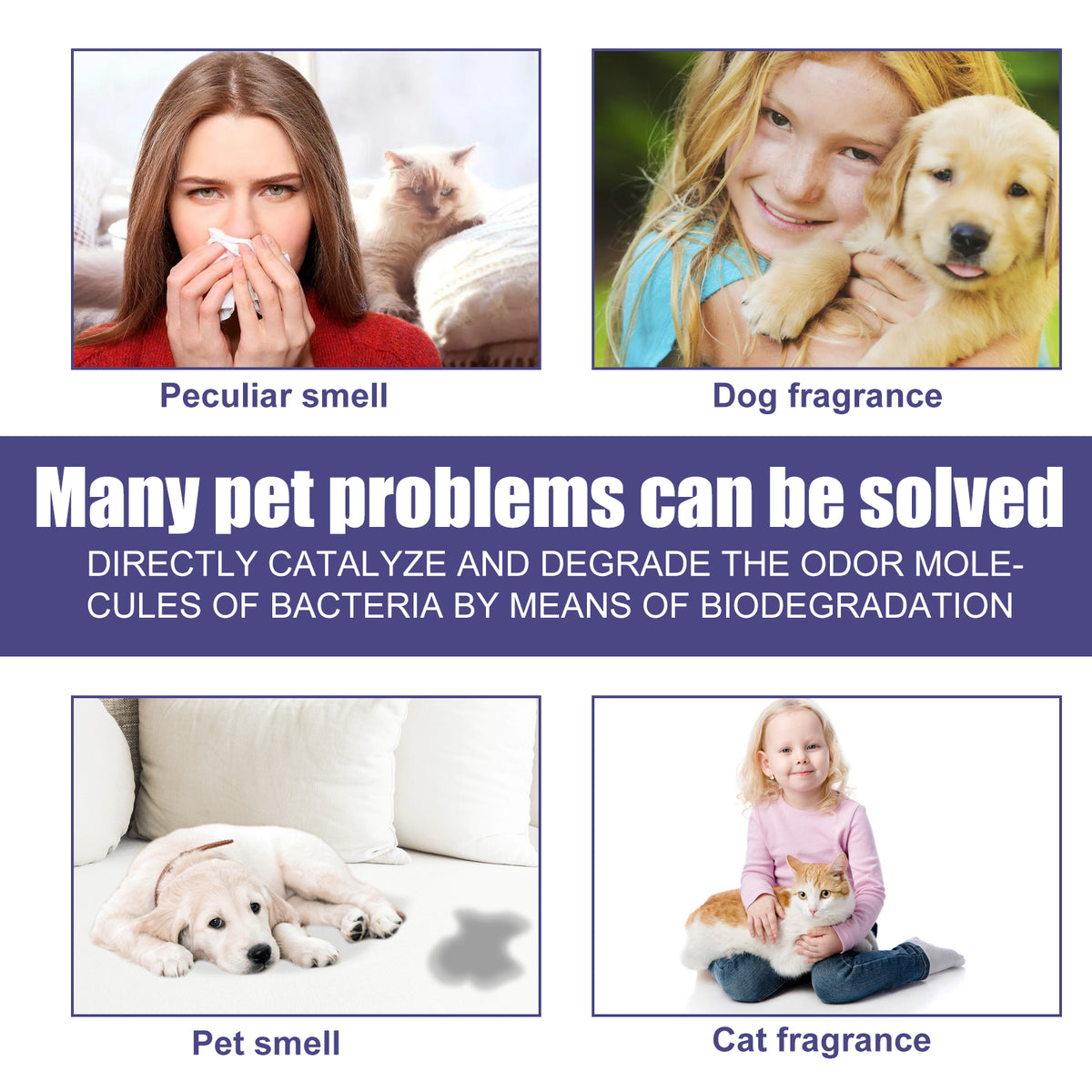 Pet Deodorant Spray To Remove Odors, Dogs And Cats To Remove Urine Odor Body Odor Feces Smell Clean Air - image 4