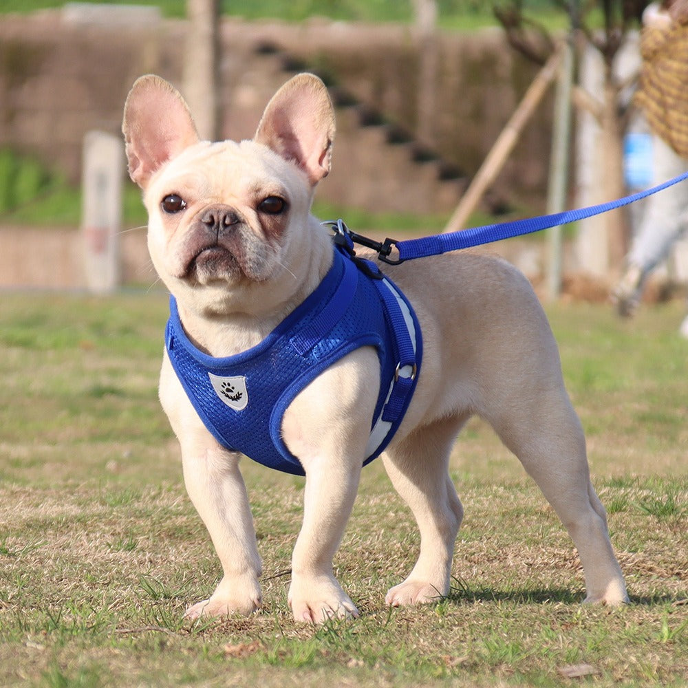 The New Pet Chest Strap Undershirt Dog Leash Reflective Breathable Dog Rope Pet Supplies - image 4