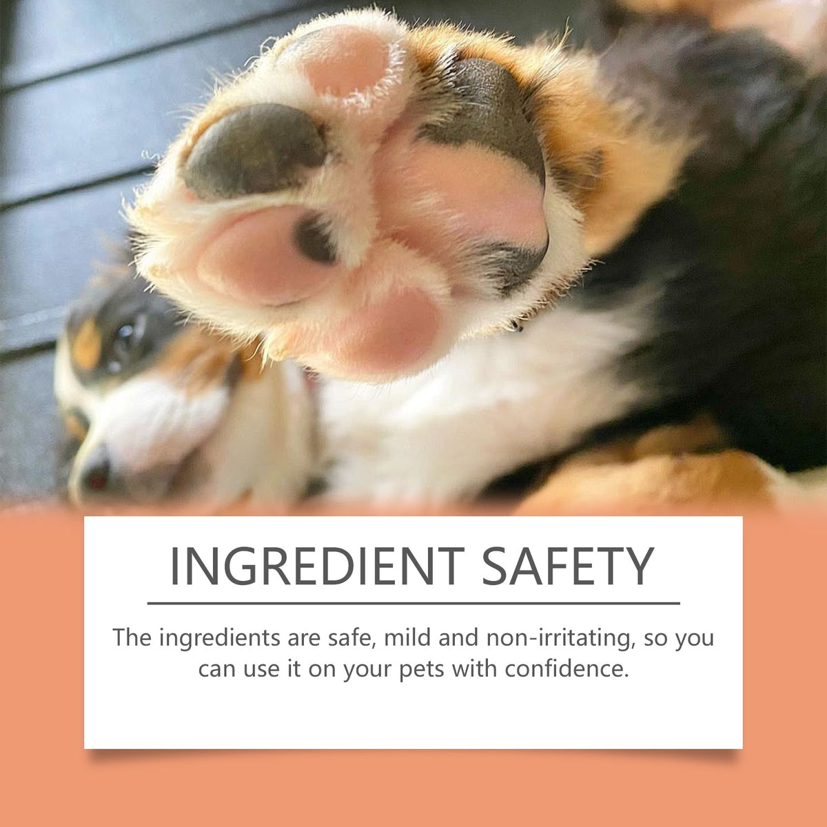 Pet Anti-Crack Paw Care Cream, Pet Paw Moisturizing Care Anti-Crack Soft Foot Paw Care Cream - image 4