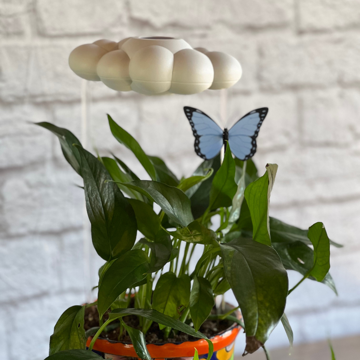 Original Dripping Rain Cloud with Blue Butterfly Charm - view 4