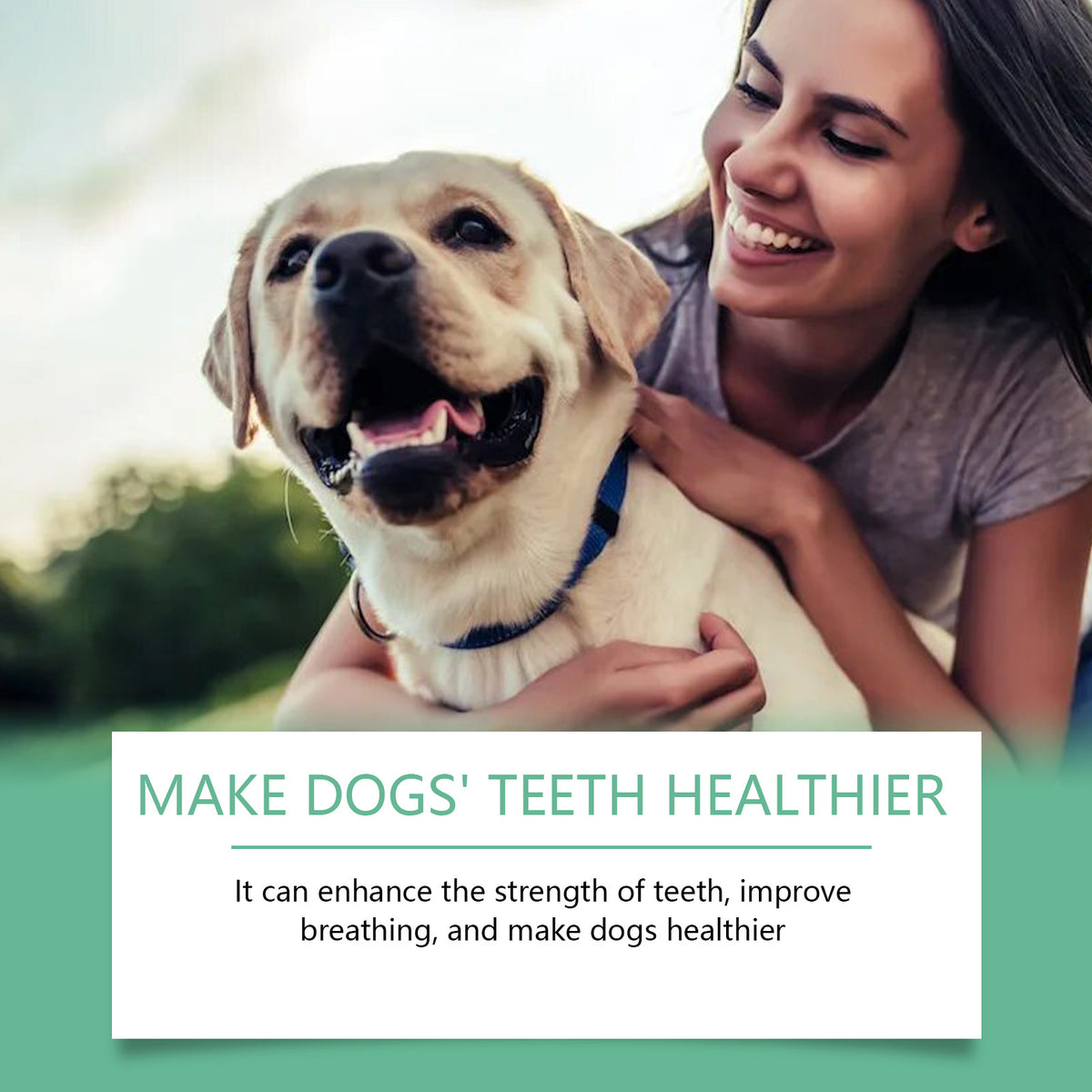 Yegbong Tooth Cleaning Powder For Dogs, A Gentle Formula To Freshen Breath And Protect Pet Oral Health Cleaning Powder - imag
