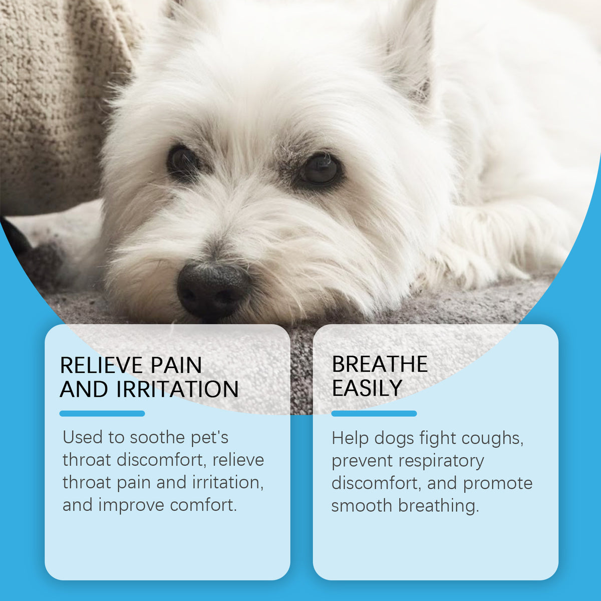 Dog Health Syrup – Nutritional Care Supplement