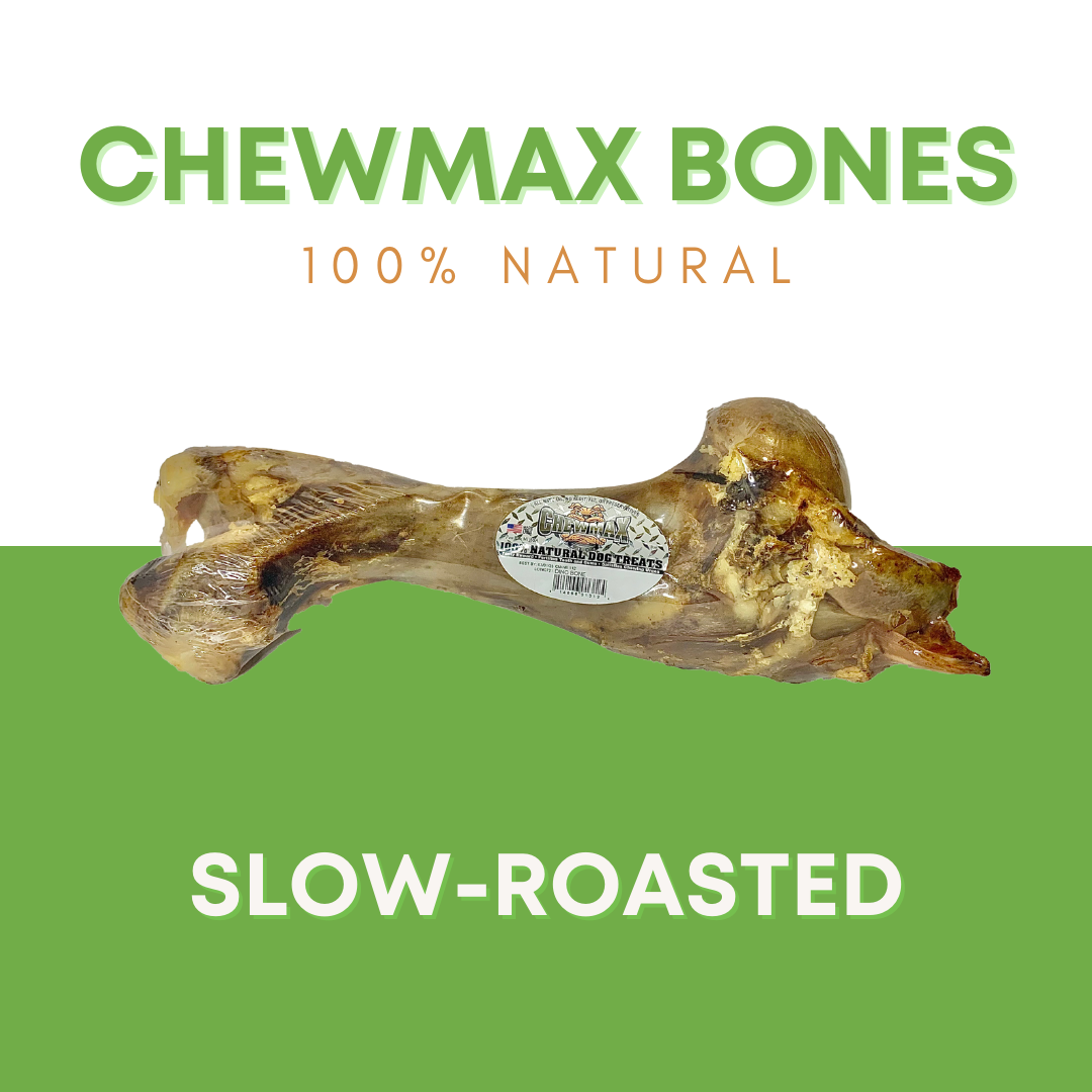 Dino Beef Bone - view 2