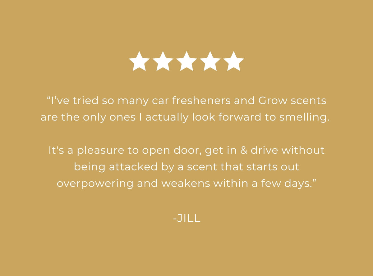 Blondewood Car Freshener - view 4