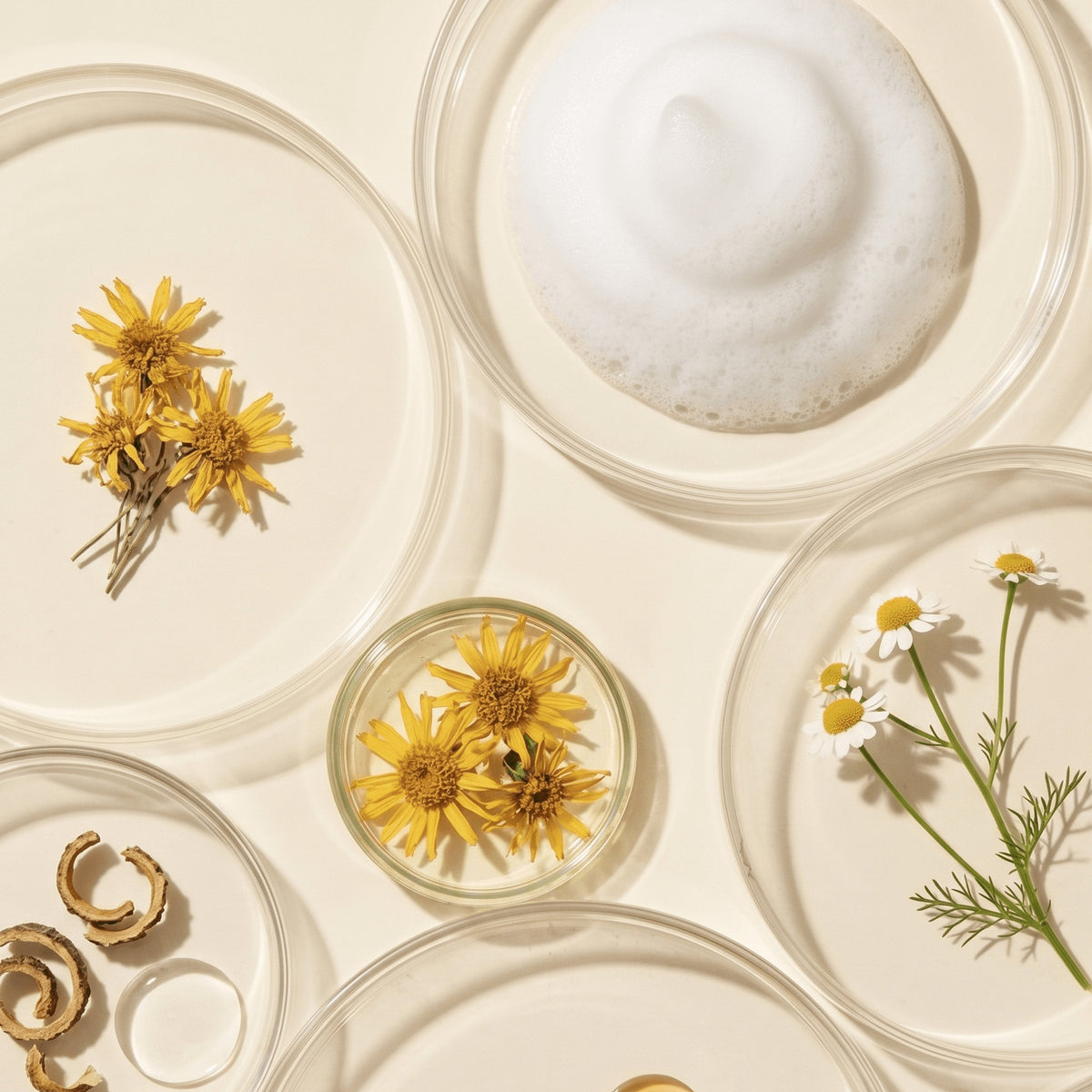 Clean Cheeks Bundle — Buddle Skincare