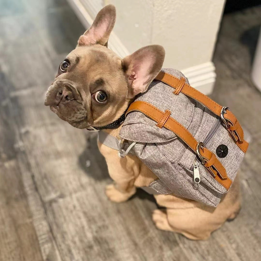 Dog backpack Pet small schoolbag with straps Portable - image 2