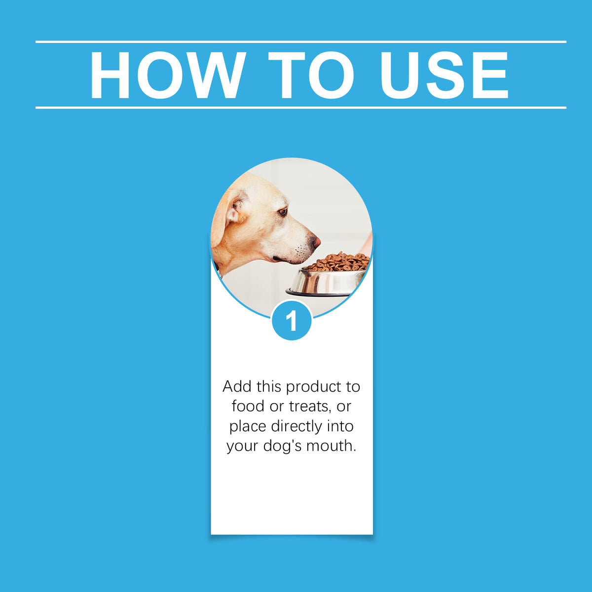 Dog Health Syrup – Nutritional Care Supplement
