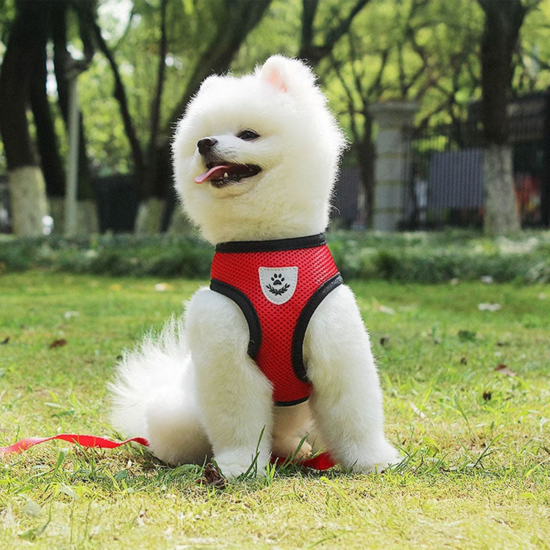 Adjustable pet harness set (small dogs/cats): vest, collar, leash. Fits French Bulldogs, Chihuahuas, etc. - image 11