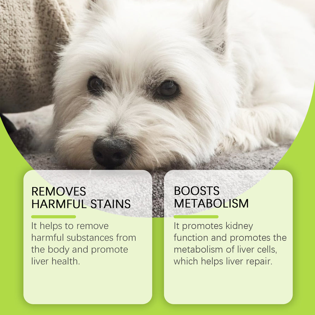 Dog Care Drops, A Comprehensive Healthy Dietary Supplement To Enhance Nutrition And Rejuvenate Dogs - image 4
