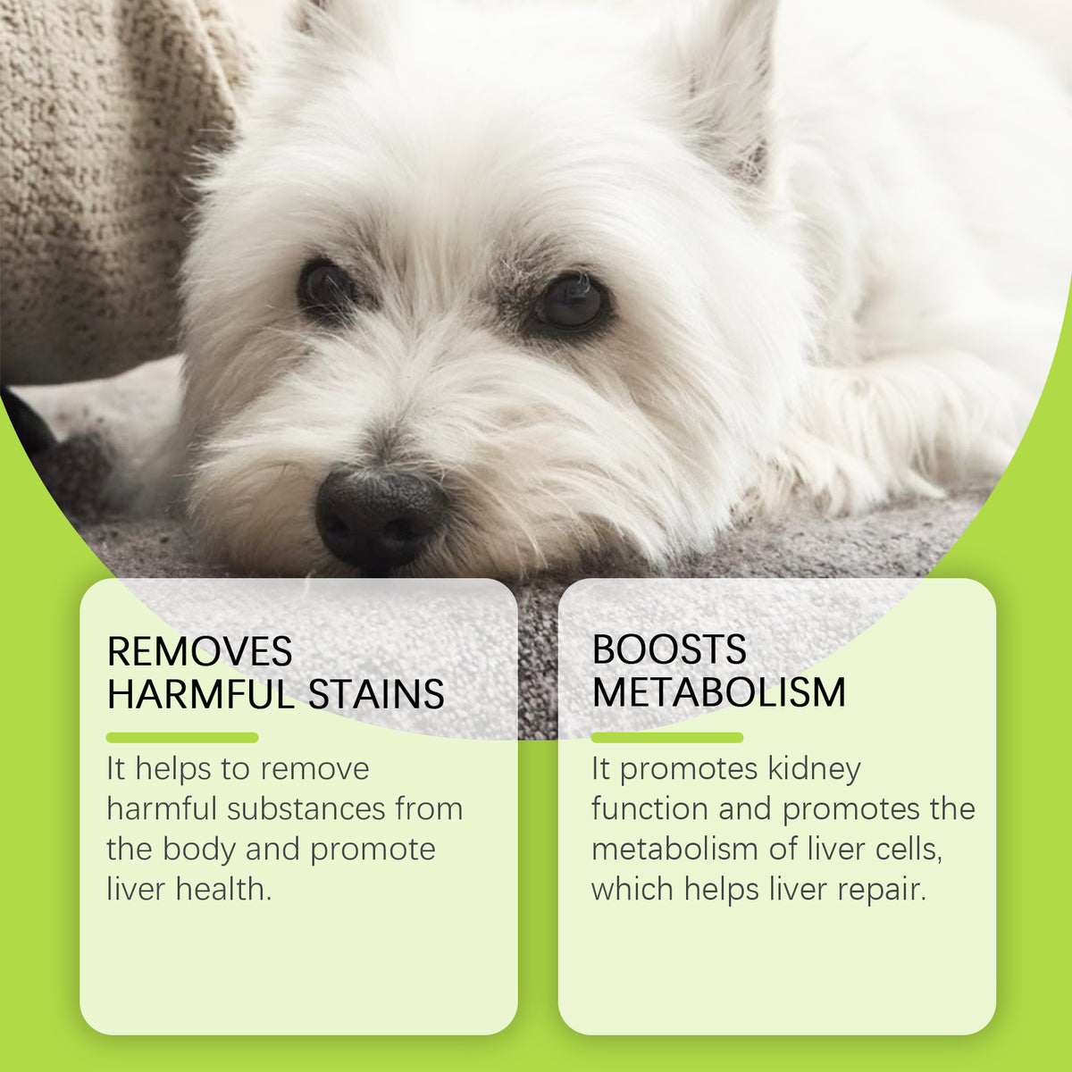 Dog Care Drops, A Comprehensive Healthy Dietary Supplement To Enhance Nutrition And Rejuvenate Dogs - image 4
