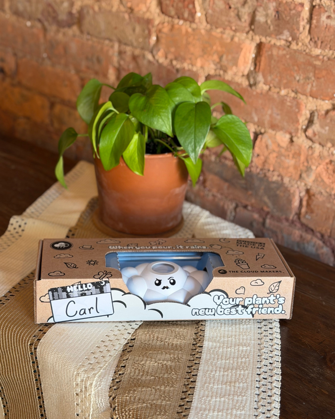Carl the Cloud - view 8