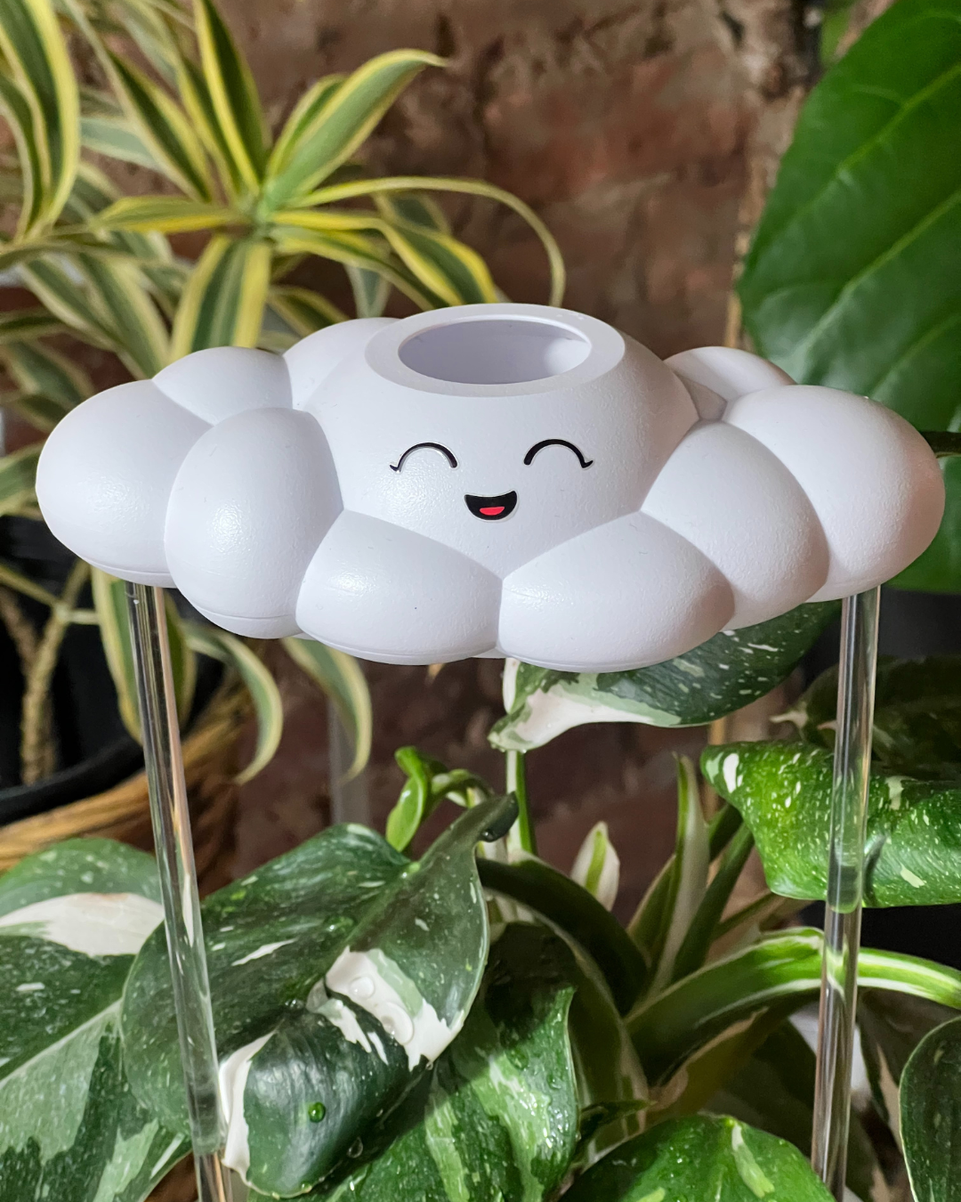 Chelsea the Cloud - view 6