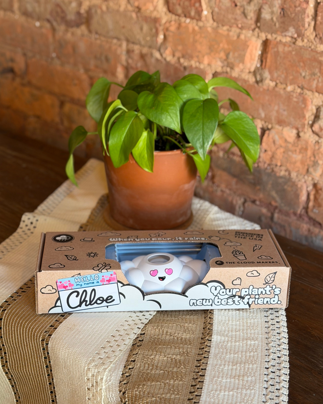 Chloe the Cloud - view 4