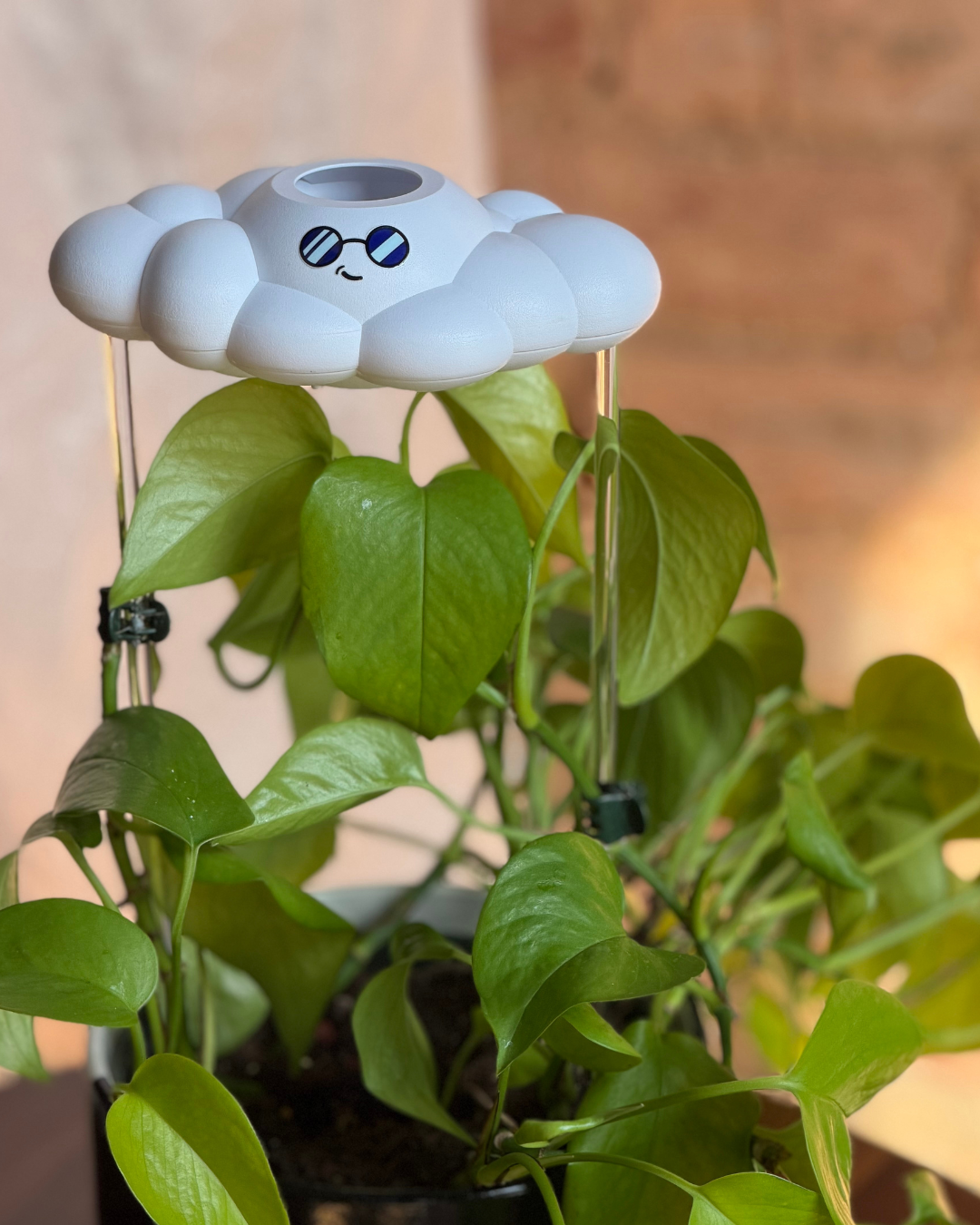 Cooper the Cloud - view 4