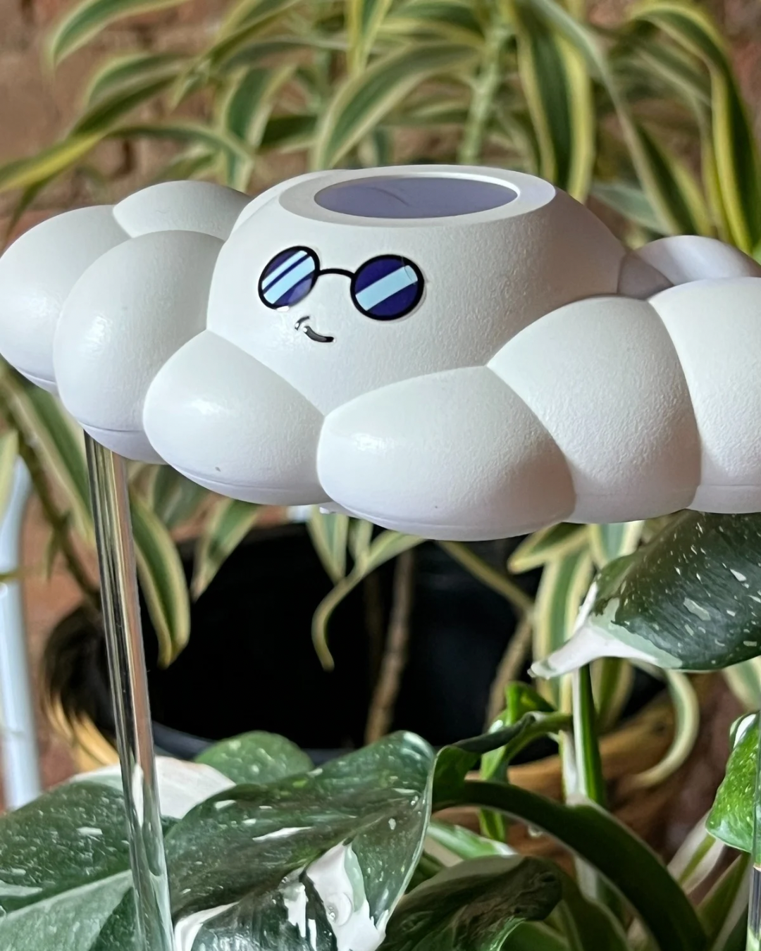 Cooper the Cloud - view 5