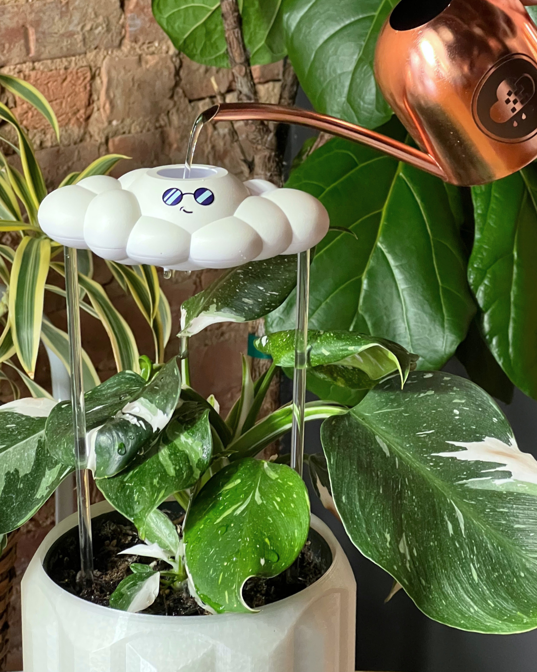 Cooper the Cloud - view 2