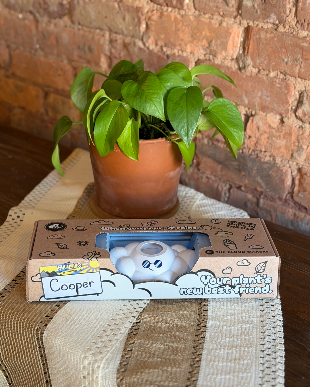Cooper the Cloud - view 7
