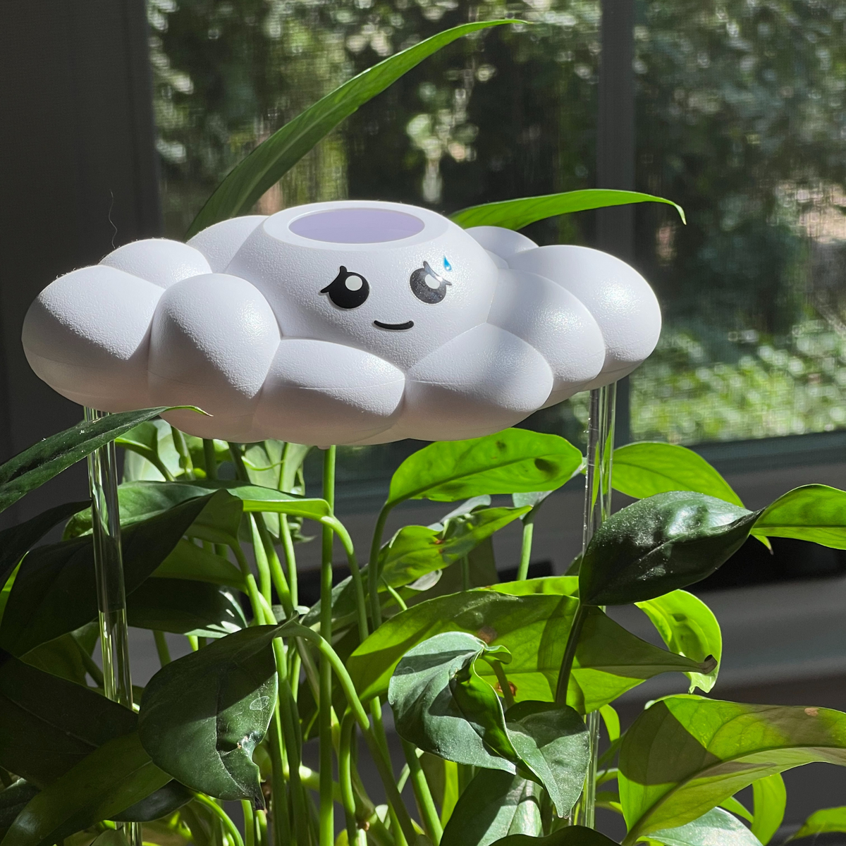 Cory the Cloud - view 8