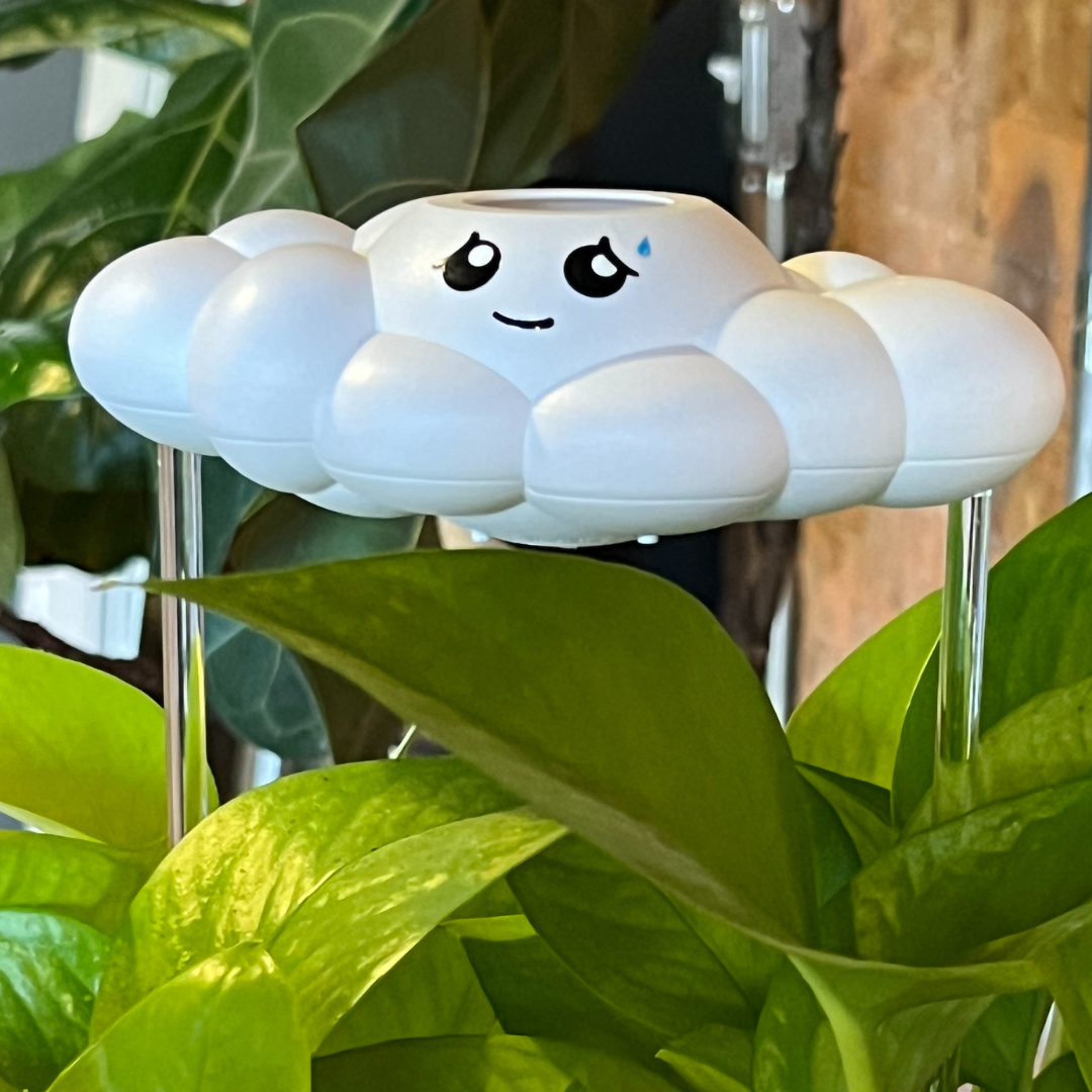 Cory the Cloud - view 7