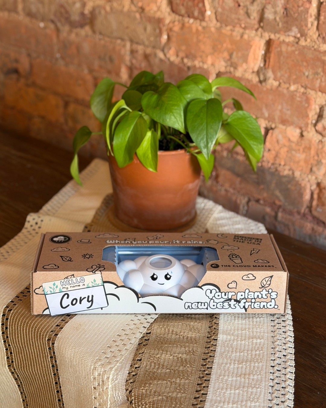 Cory the Cloud - view 3