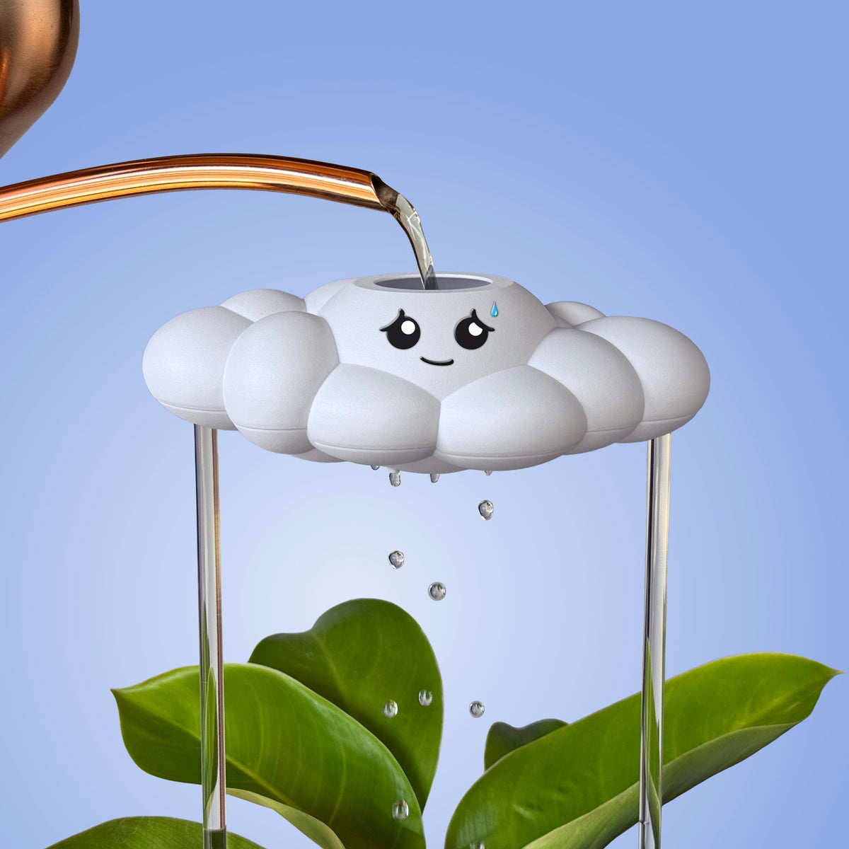 Cory the Cloud