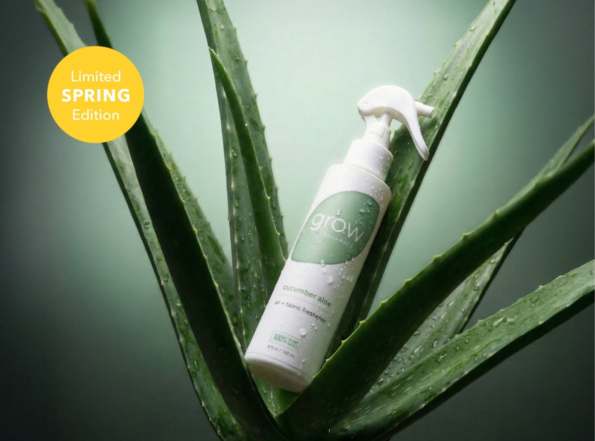 Cucumber Aloe Air + Fabric Spray - view 2