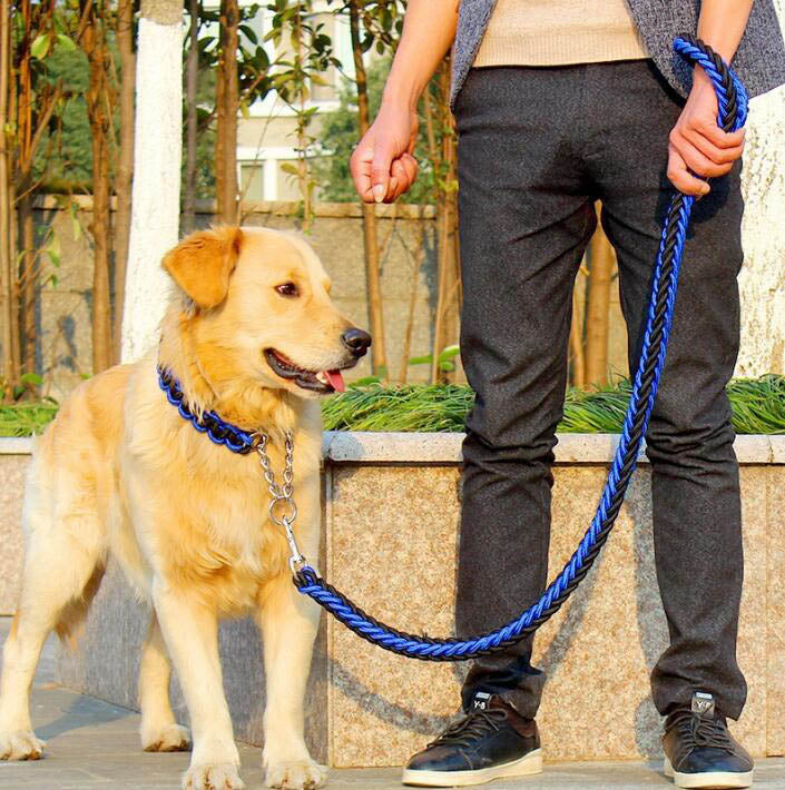 Double Strand Rope Large Dog Leashes Metal P Chain Buckle Contrast Colorful Pet Traction Rope Collar Set Firm 1.2m Length