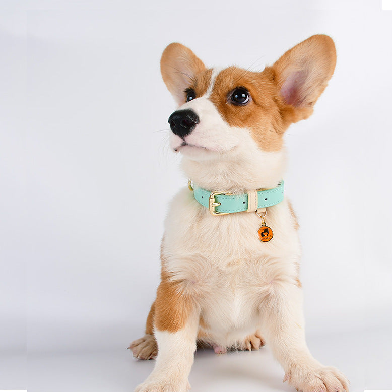 Genuine Leather Pet Dog Cat Collar Leash Dog Rope Dog Chain Dog Belt Pet Supplies - image 4