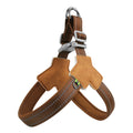Dog Harness Chest Strap for Small and Medium Dogs, Reflective Leash for Outdoor Walking, Anti-Pull Design for Corgi, Bichon -