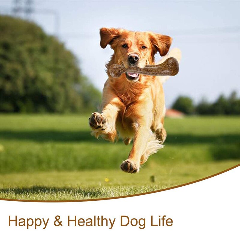Durable Pet Dog Chew Toys Dog Bone Molar Teeth Clean Stick Toys For Small Medium Large Dogs Pet Chew Game Puppy Accessories -