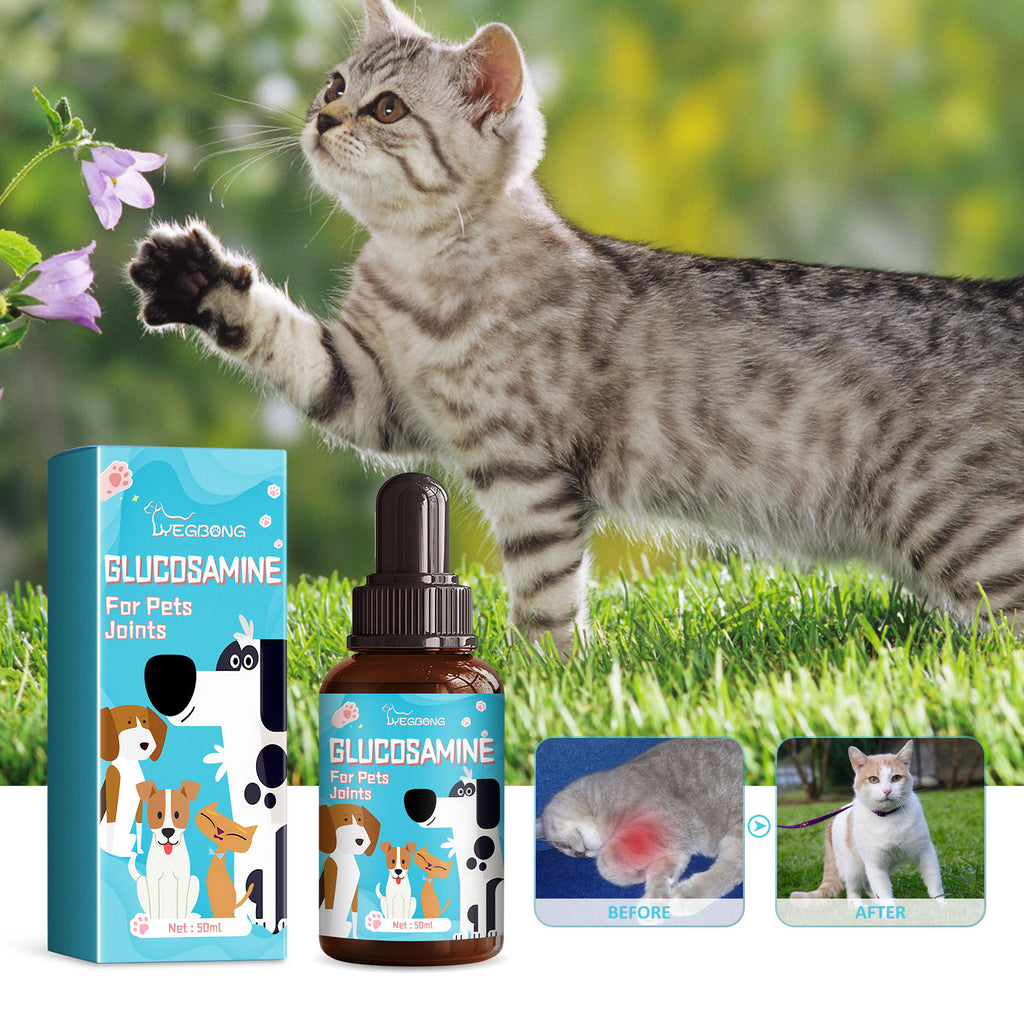 Pet Glucosamine Drops Relieve Pain Of Bones And Joints For Pets Body Care For Cats And Dogs - image 3