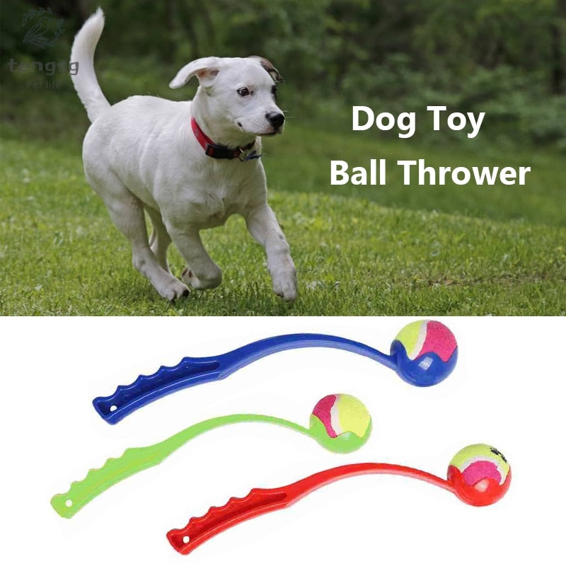 Pet Throwing ToysPet Supplies Outdoor Sports Dog Toy Ball Throwing Ball Launcher Pet Training Interactive Toy Dog Retrieve To
