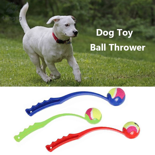 Pet Throwing ToysPet Supplies Outdoor Sports Dog Toy Ball Throwing Ball Launcher Pet Training Interactive Toy Dog Retrieve To
