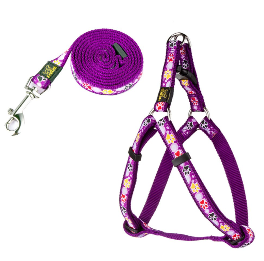 New Dog Paw Print Nylon Leash Collar (With Leash) Set Of Pet Supplies - image 4