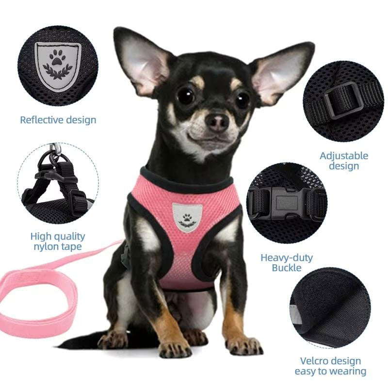 Adjustable pet harness set (small dogs/cats): vest, collar, leash. Fits French Bulldogs, Chihuahuas, etc. - image 12