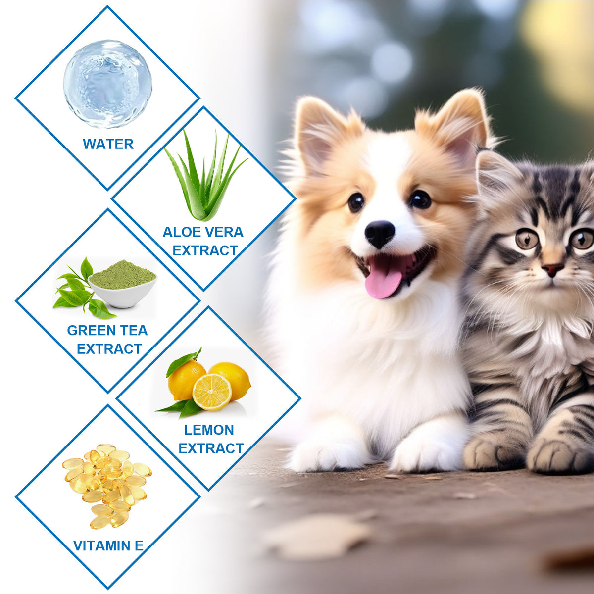 Corgi dog with natural ear care ingredient icons