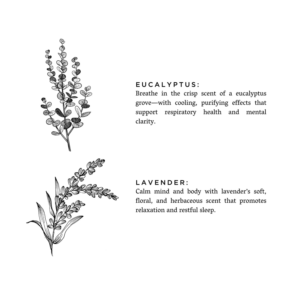 Laundry Powder - Eucalyptus + Lavender - view 2