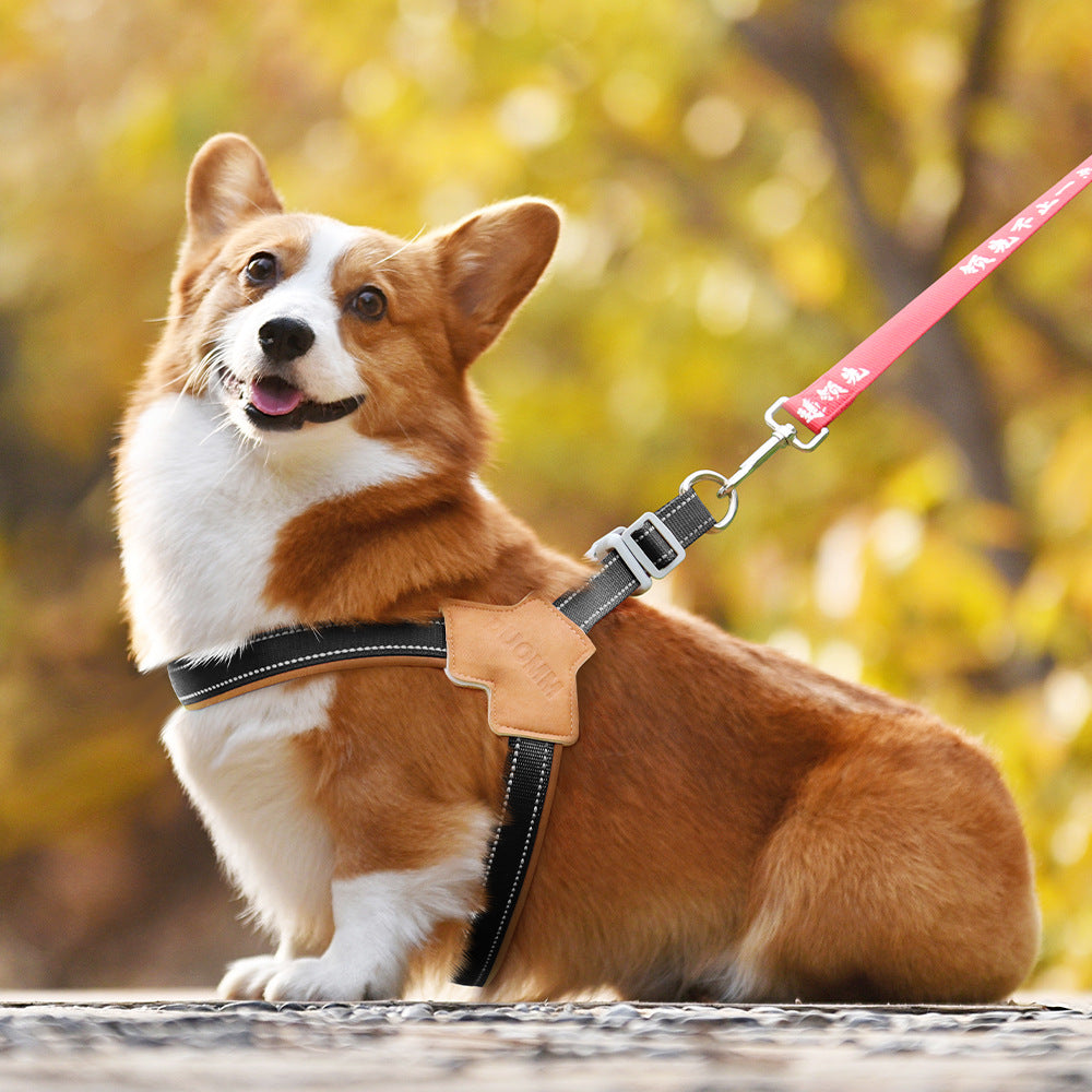 Dog Harness Chest Strap for Small and Medium Dogs, Reflective Leash for Outdoor Walking, Anti-Pull Design for Corgi, Bichon -