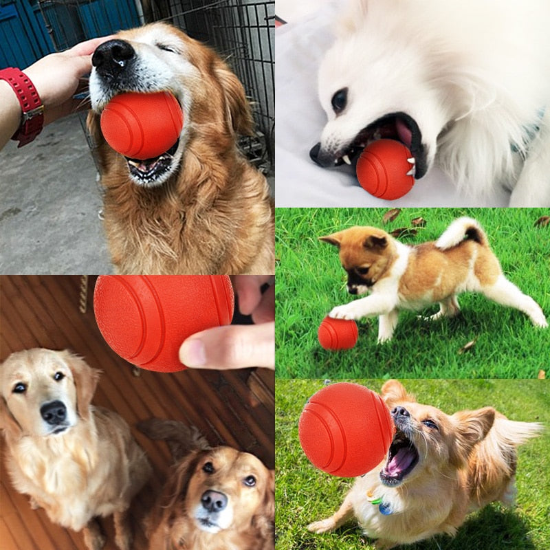 Dog Toy Rubber Ball Bite-resistant Dogs Puppy Teddy Pitbull Pet Supplies - image 5