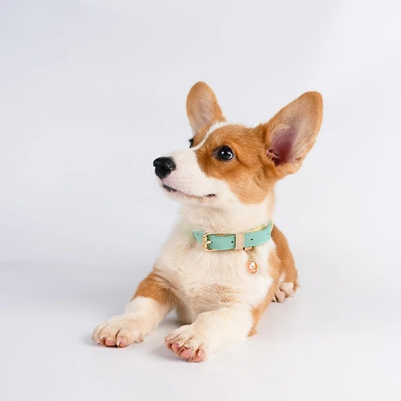 Genuine Leather Pet Dog Cat Collar Leash Dog Rope Dog Chain Dog Belt Pet Supplies - image 3