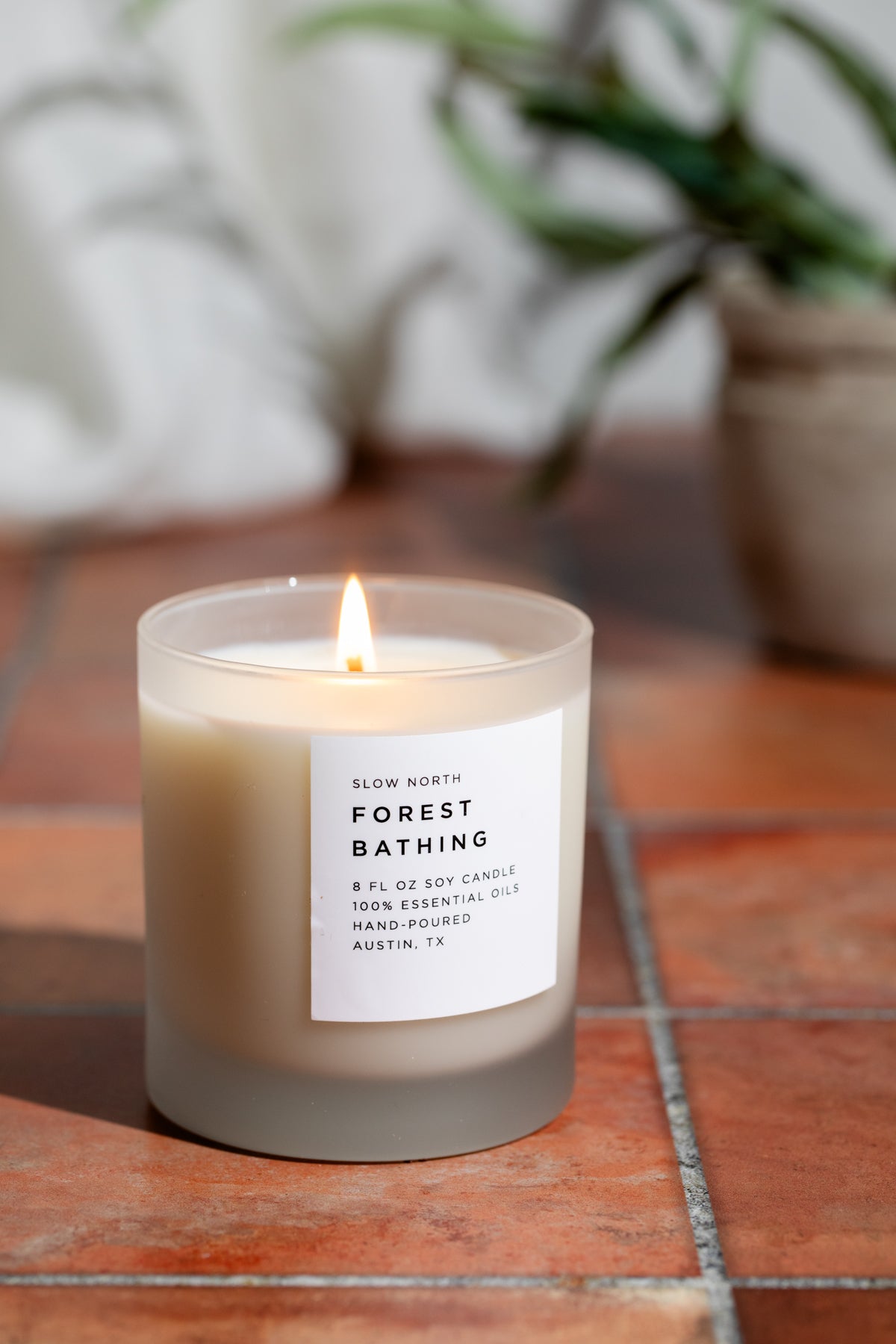 Forest Bathing - Signature Candle (Fir + Pine + Patchouli) - view 6