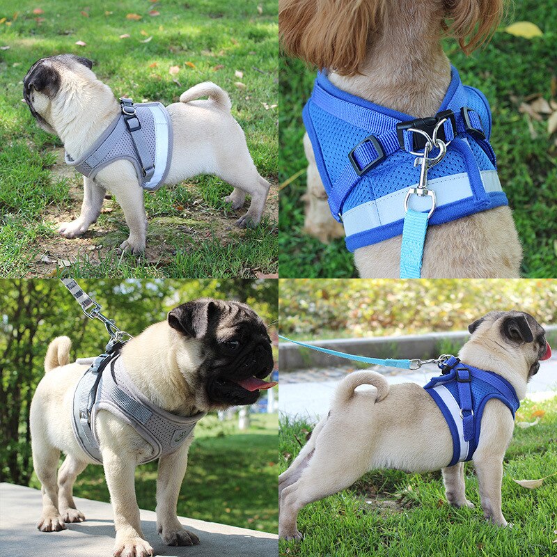 Reflective Safety Pet Dog Harness and Leash Set for Small Medium Dogs Cat Harnesses Vest Puppy Chest Strap Pet accessories - 