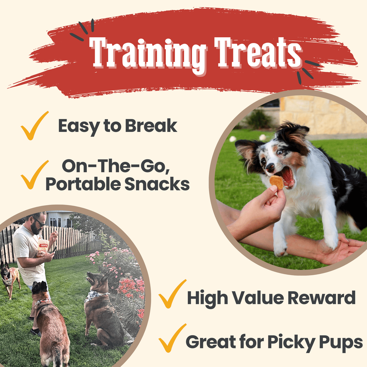 Chicken Chips for Dogs | All-Natural Single-Ingredient Dog Treats - Image 5
