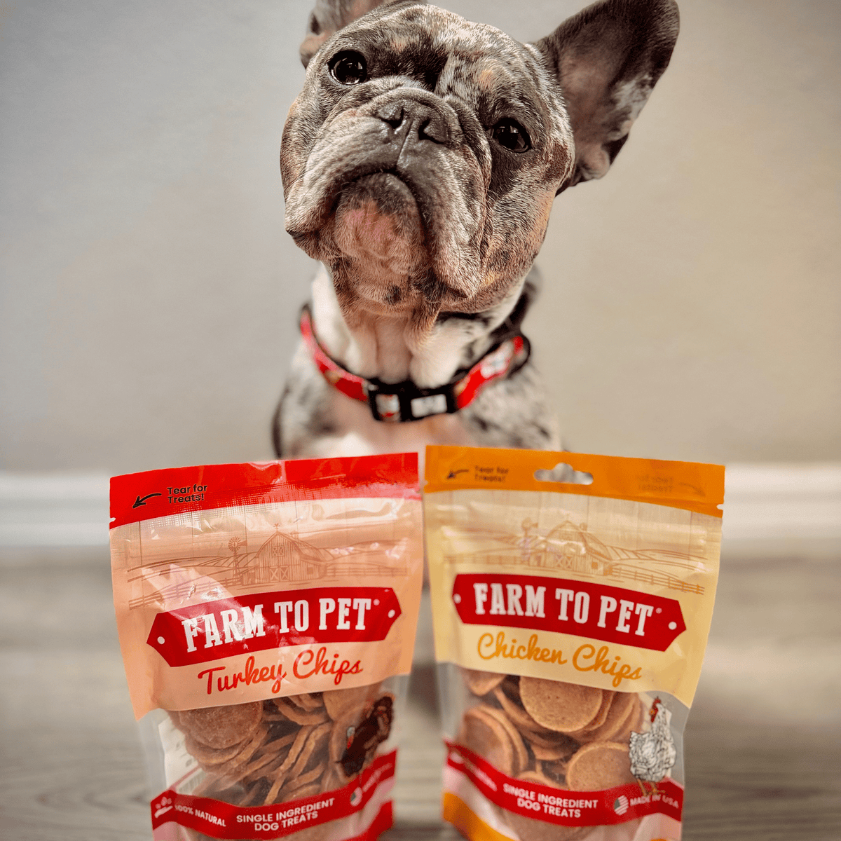 Turkey & Chicken Chip Dog Treat Duo | Single-Ingredient Poultry Treats for Dogs - Image 4