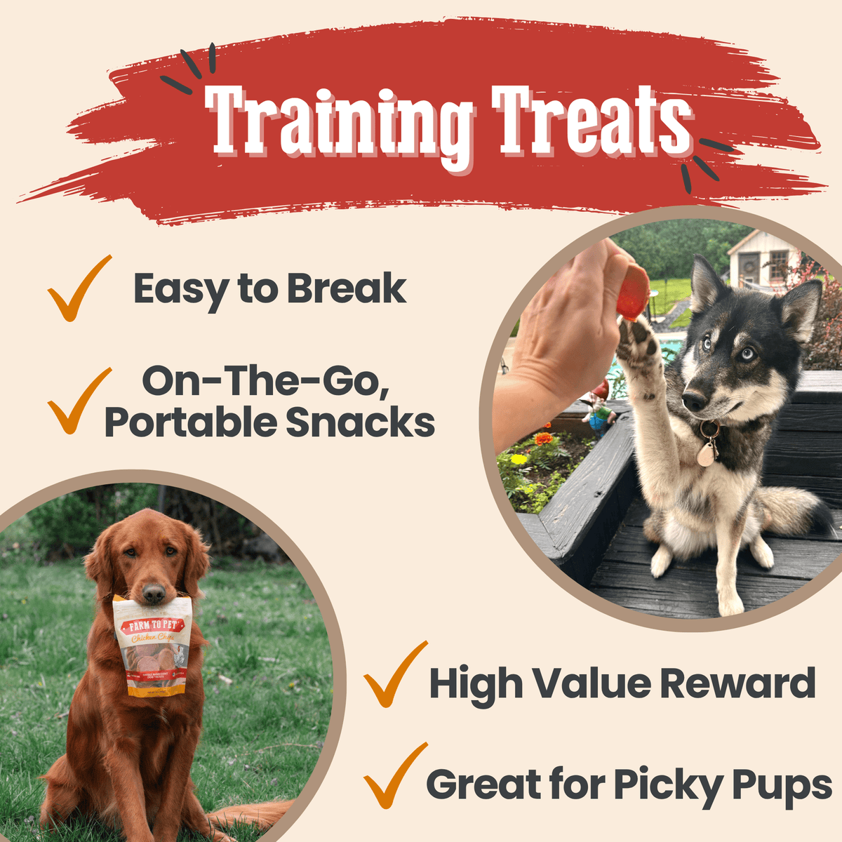 Turkey & Chicken Chip Dog Treat Duo | Single-Ingredient Poultry Treats for Dogs - Image 5