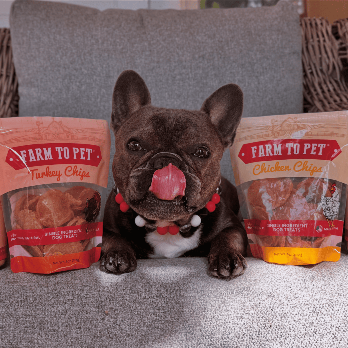 Turkey & Chicken Chip Dog Treat Duo | Single-Ingredient Poultry Treats for Dogs - Image 3