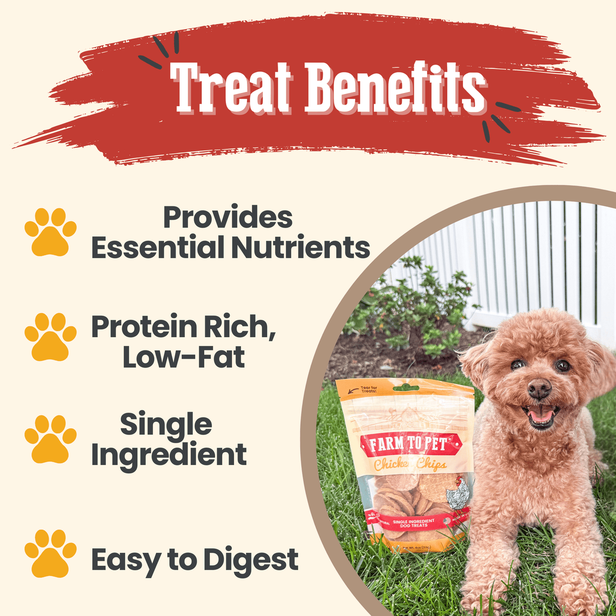 Chicken Chips for Dogs | All-Natural Single-Ingredient Dog Treats - Image 6