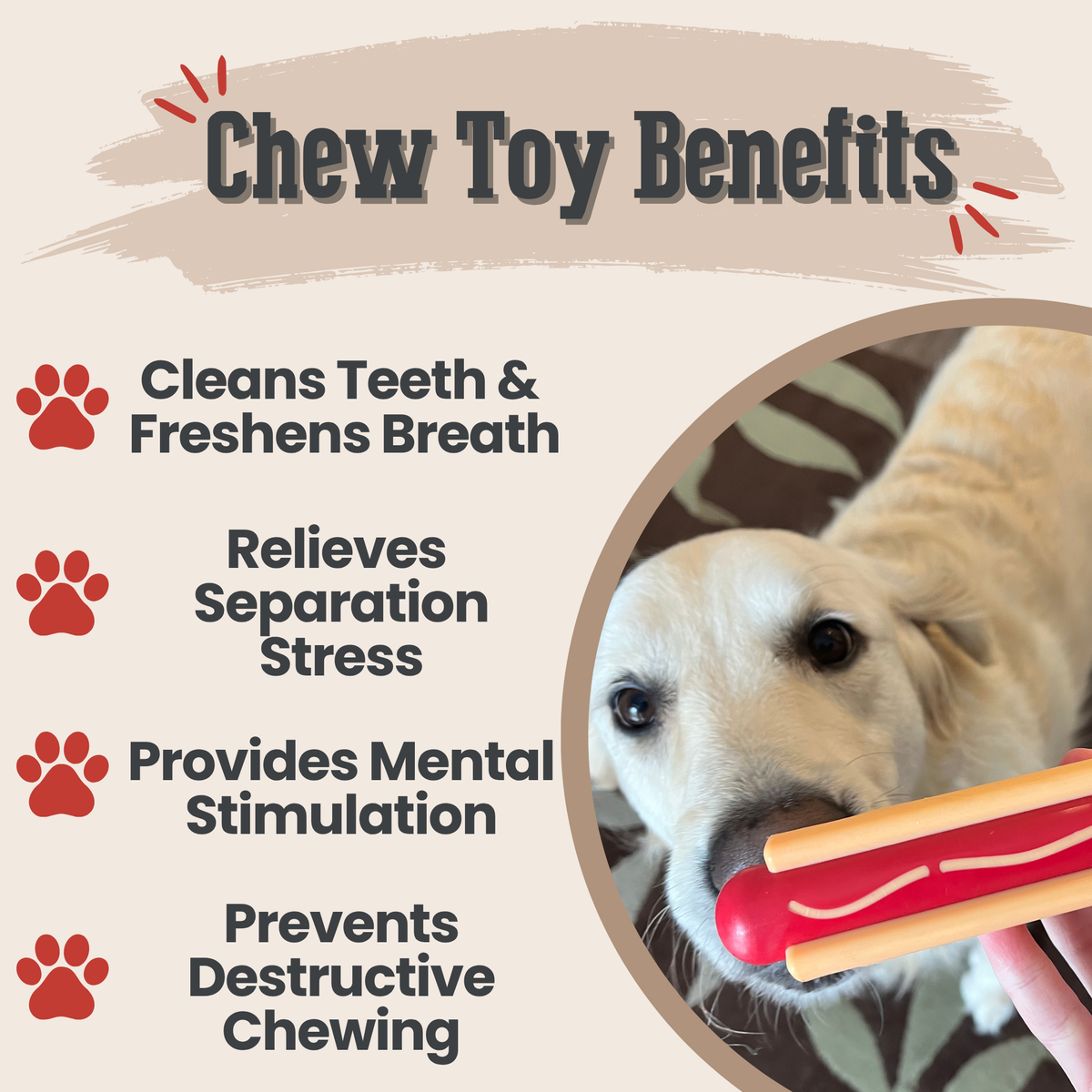Chew Toys - Image 23