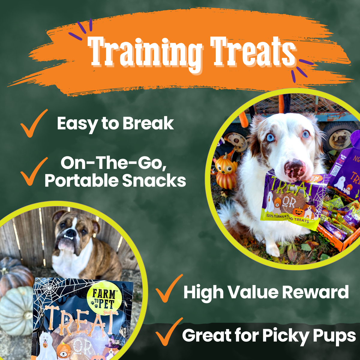 Halloween Dog Treat Snack Pack Bundle - Image 7